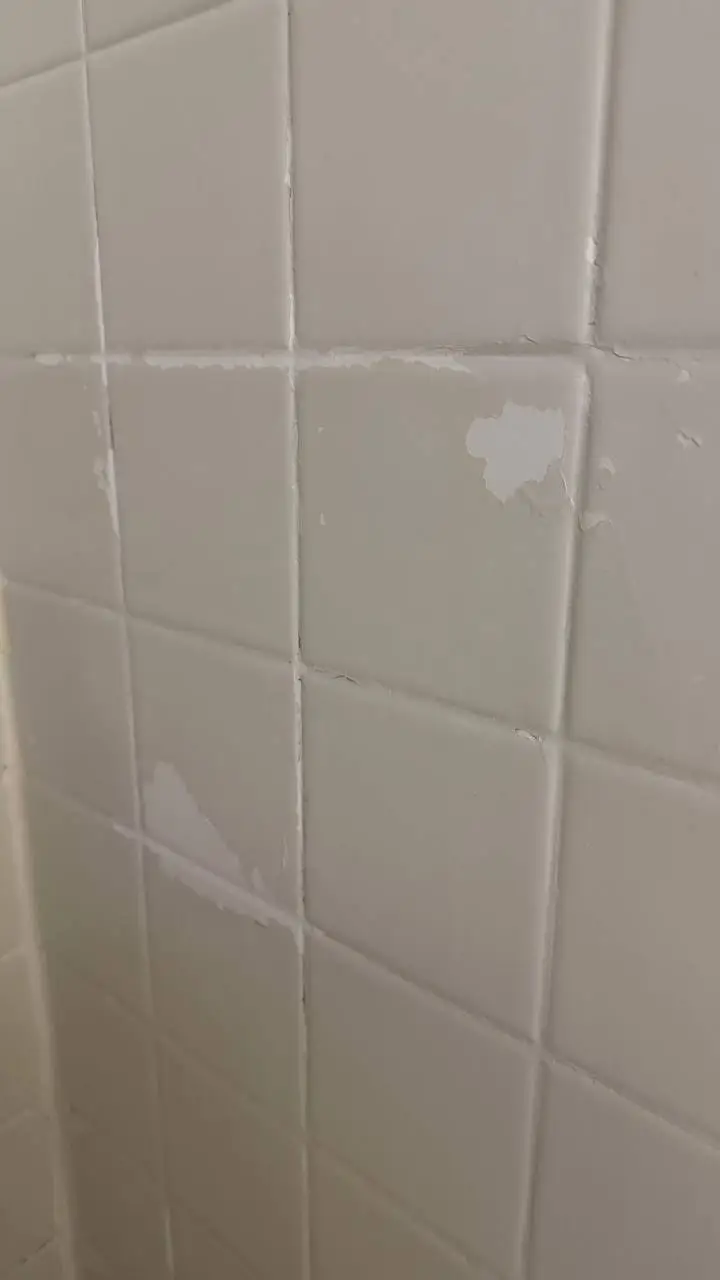 Eco Tub Restoration project photo