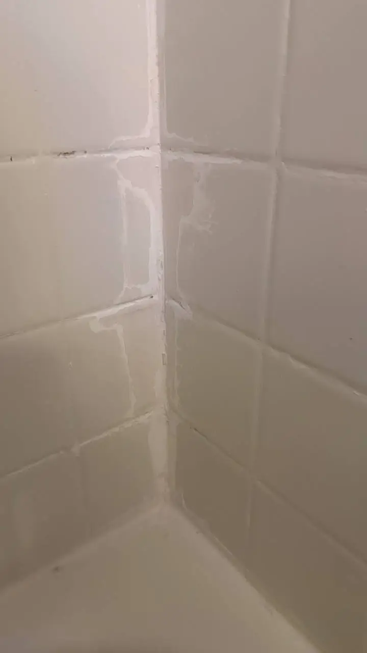 Eco Tub Restoration project photo