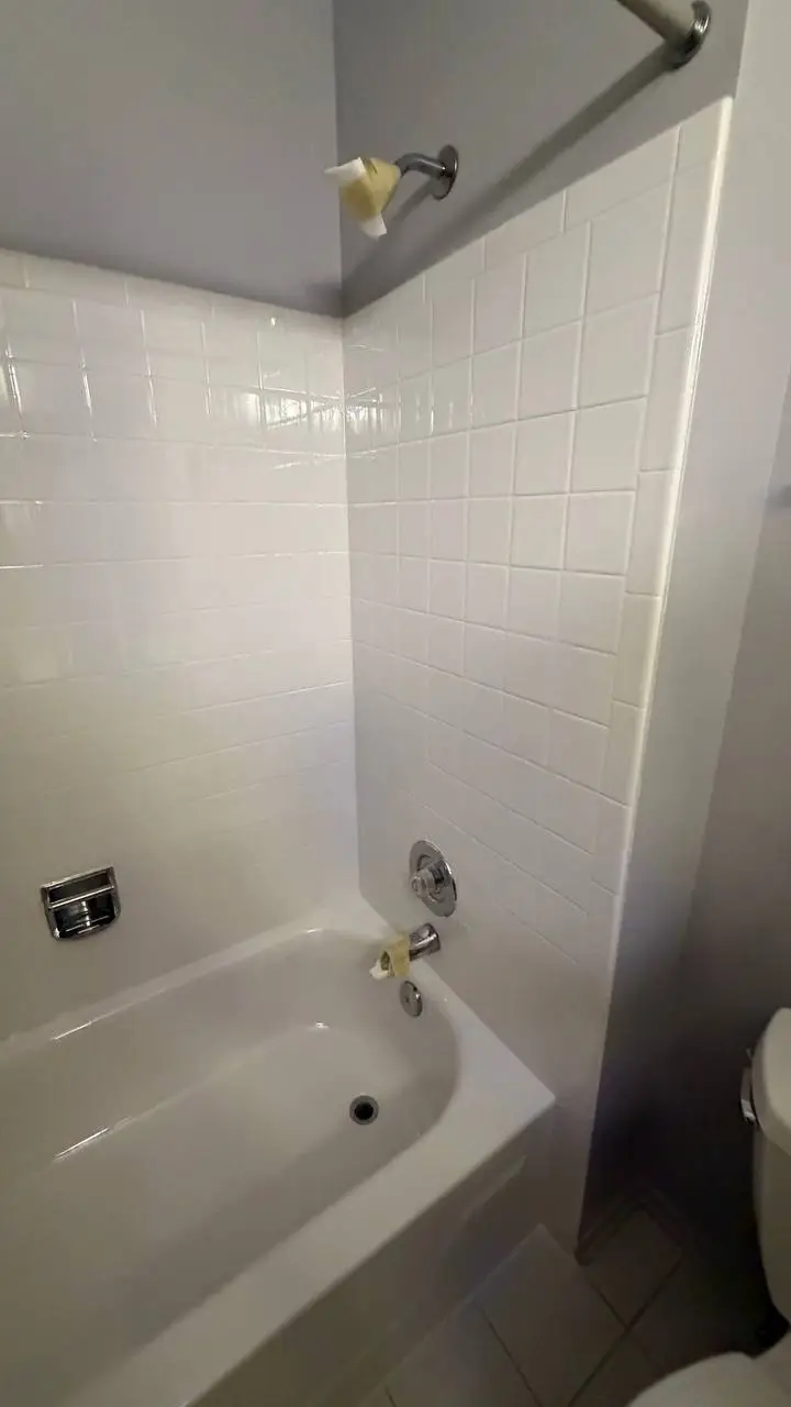 Eco Tub Restoration project photo