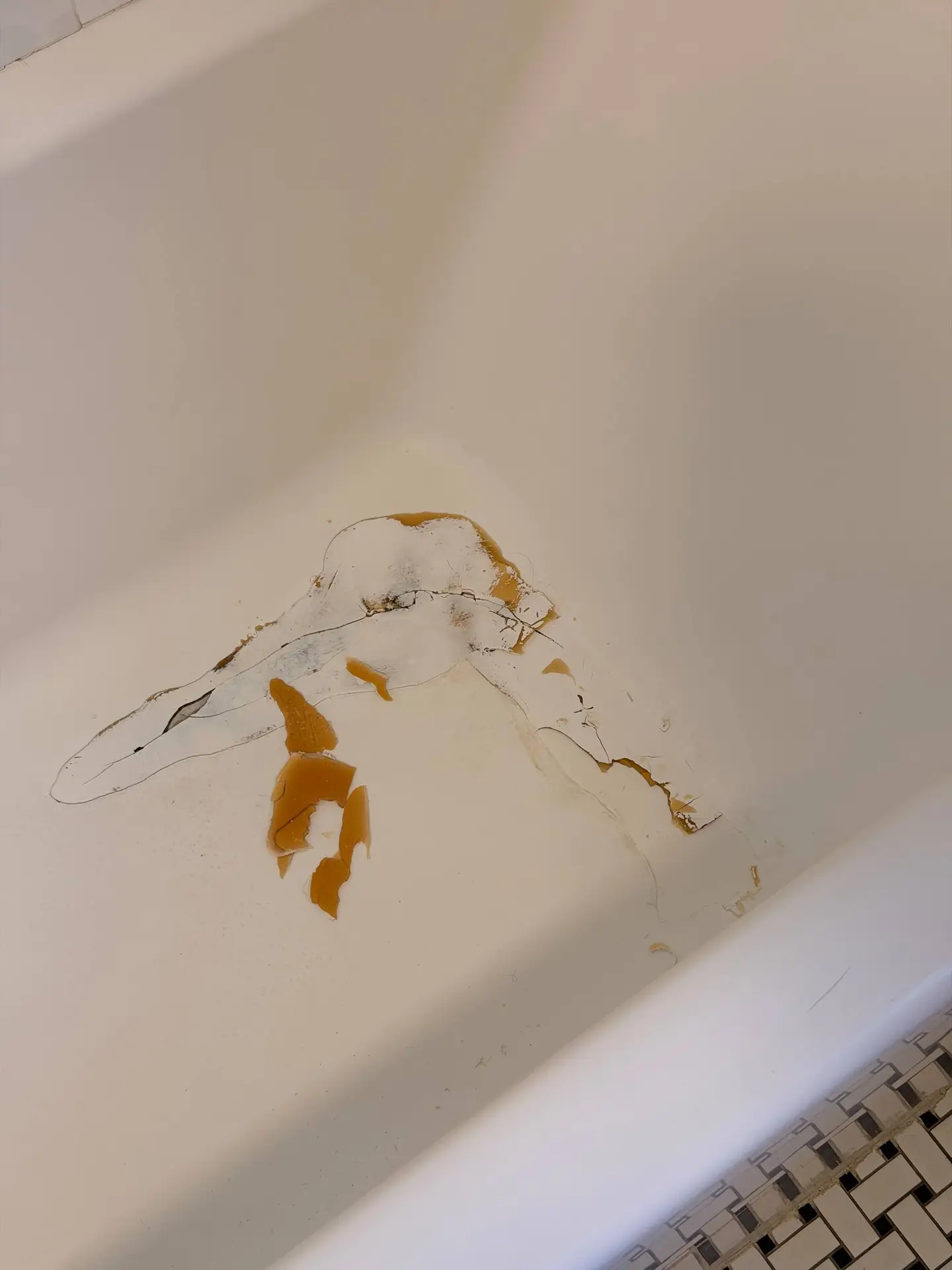 Eco Tub Restoration project photo