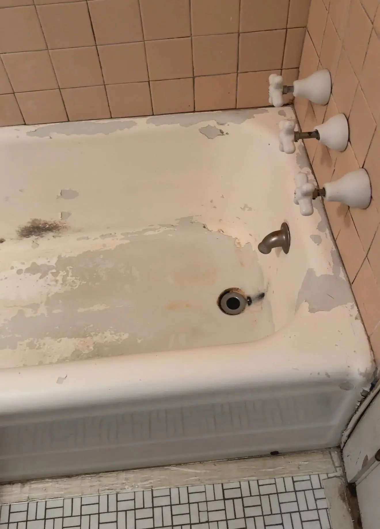 Eco Tub Restoration project photo